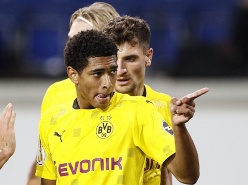 倾向于寻找 倾向于寻找