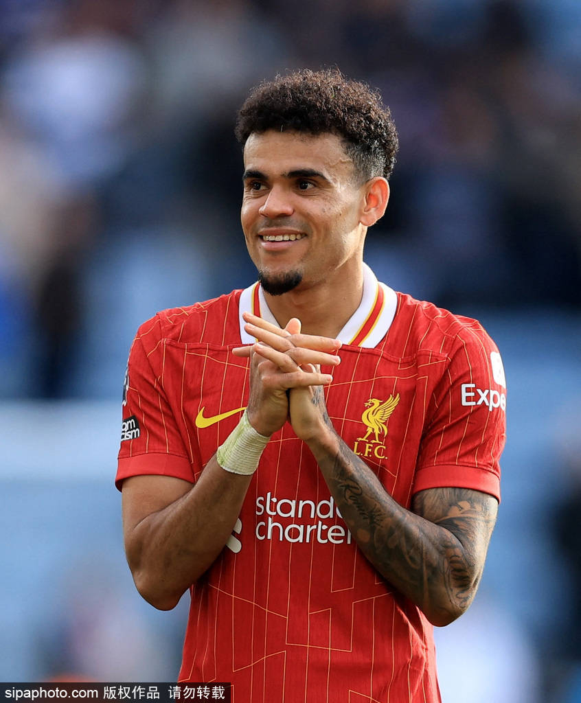 政府扮演了 政府扮演了