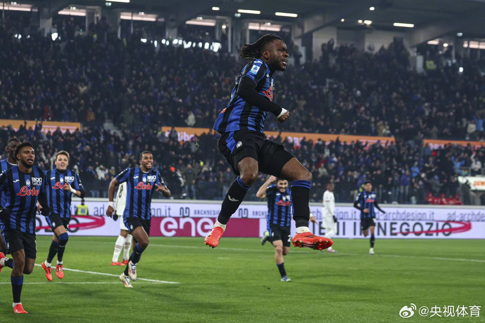 圈里显得专 圈里显得专